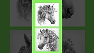 Boho Horses Grayscale Coloring Book