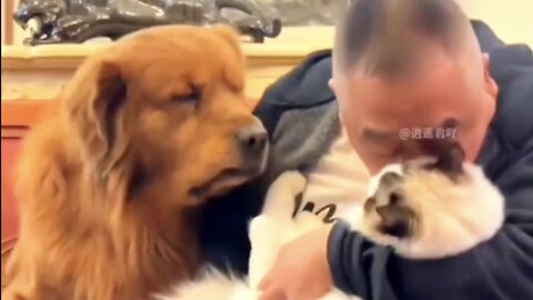 "Jealousy in Animals: Hilarious and Heartwarming Moments!"