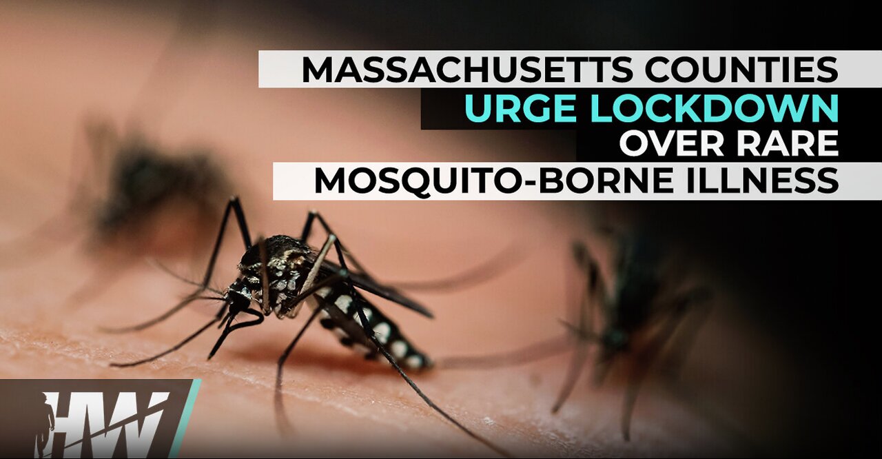 MASSACHUSETTS COUNTIES URGE LOCKDOWN OVER RARE MOSQUITO-BORNE ILLNESS