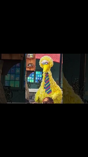 Many People Can’t Name This Bird #seaworld ￼