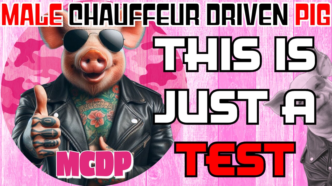 Male Chauffeur Driven Pig - This is just a test