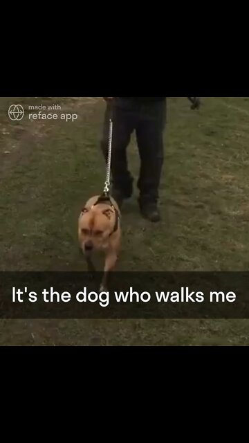 The Ultimate Donald Trump Meme!