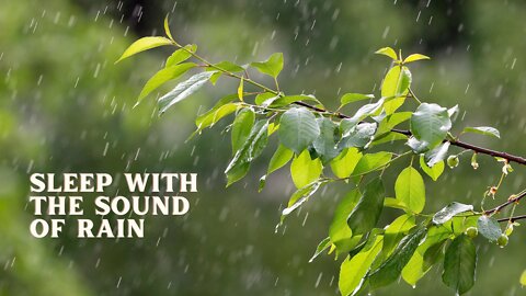 Rain sounds, to relax, to sleep