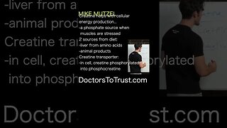 MIKE MUTZEL: Creatine supports muscle development under high stress weightlifting, sprinting, HIIT