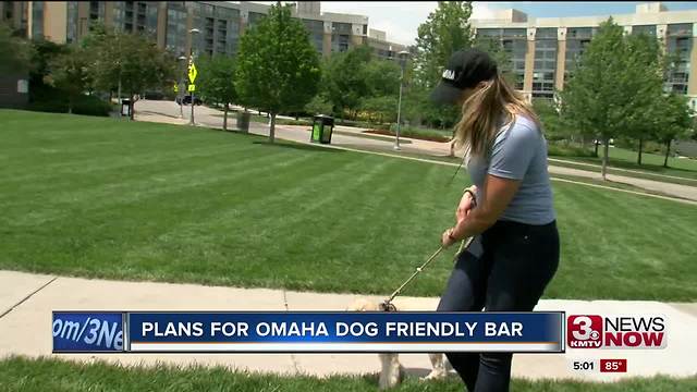 Plans for dog friendly bar in Omaha