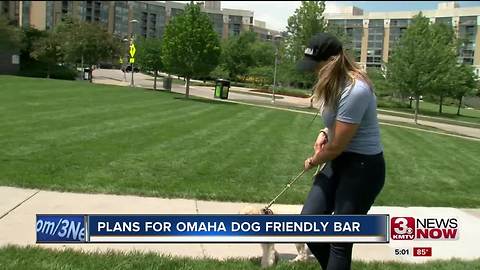 Plans for dog friendly bar in Omaha