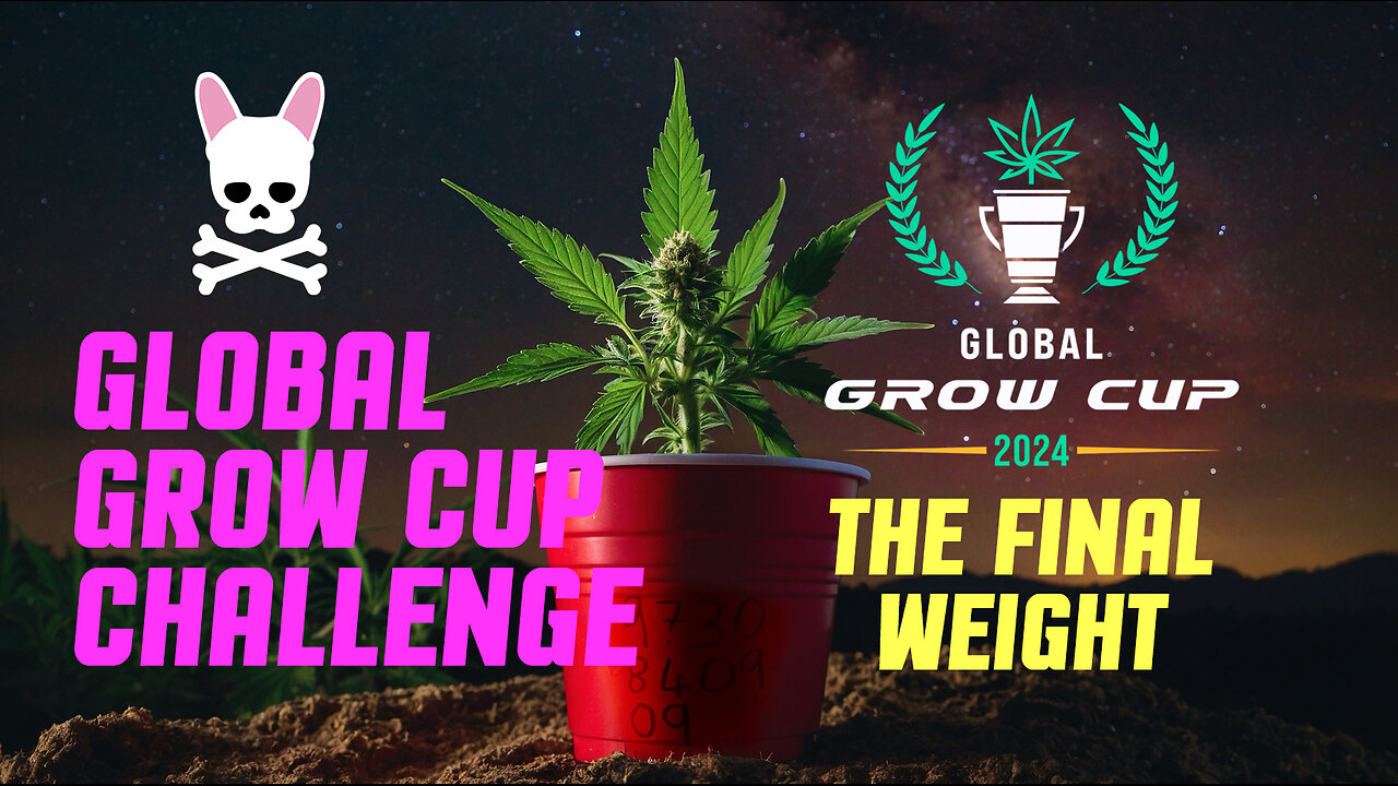 The Final Dry Weight - Global Grow Cup Challenge 2024