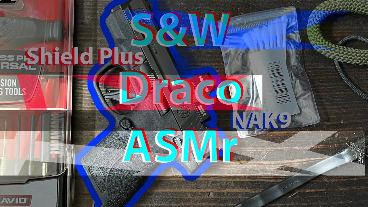 S&W and Draco at the range | AYO! Daeni