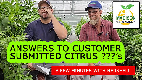 Madison Citrus Nursery - Q&A: With an Online Citrus Nursery Owner