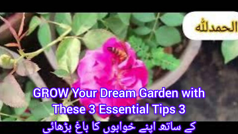 WINTERIZE Your Garden with These SECRET Soil Boosters!