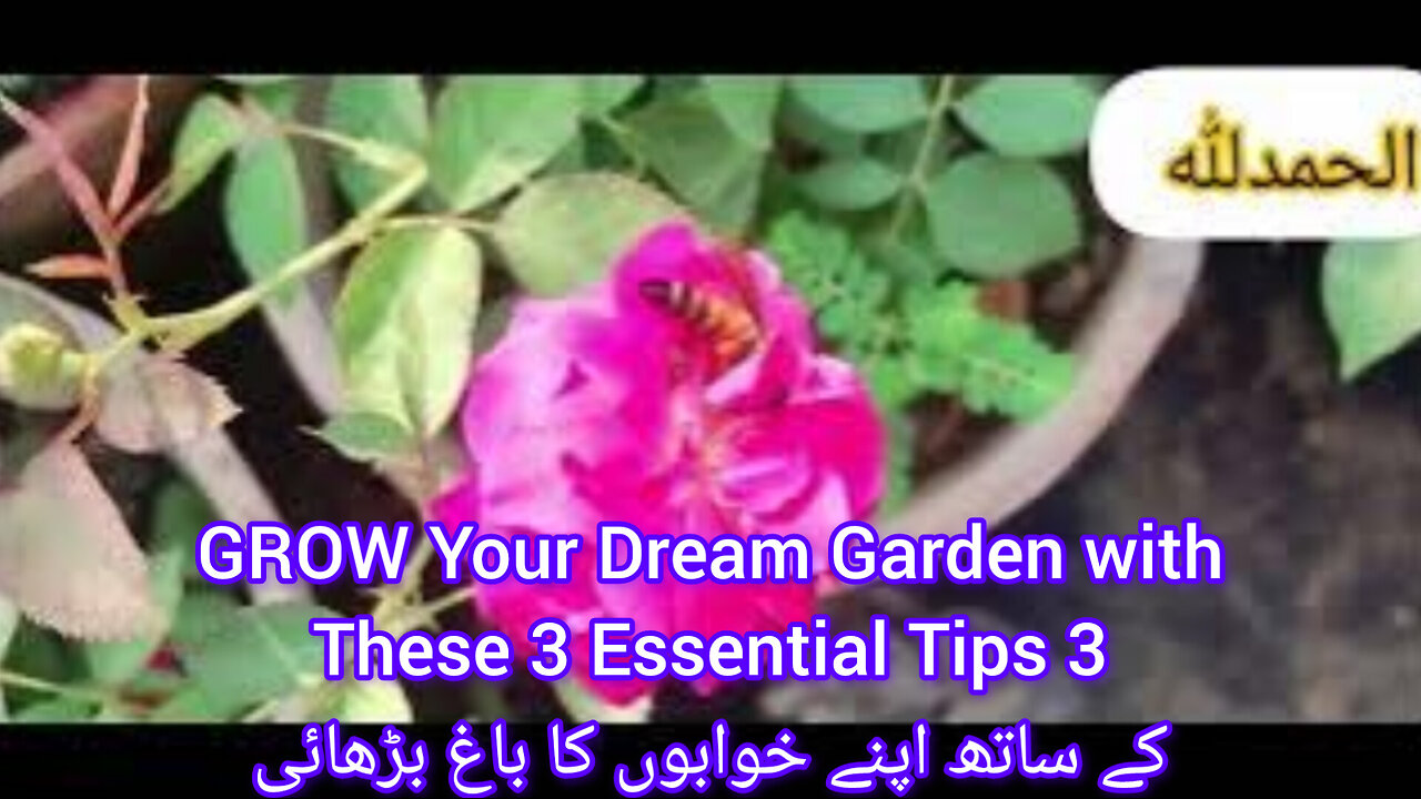 WINTERIZE Your Garden with These SECRET Soil Boosters!