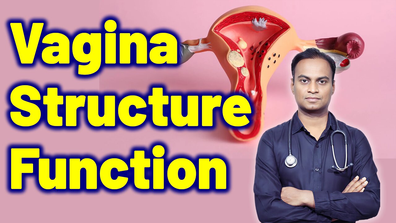 Structure and Function of Vagina Related to Vaginitis Treatment Cure Medicine Surgery | Gynaecology