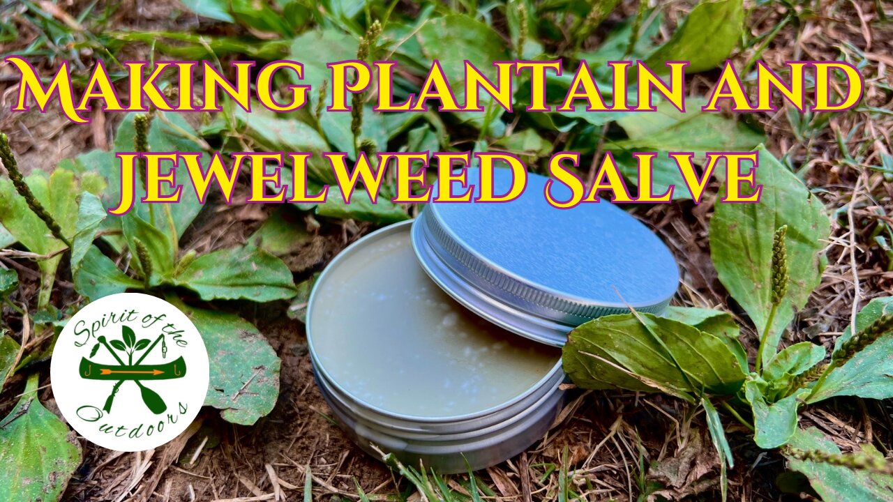 Making Plantain and Jewelweed Salve