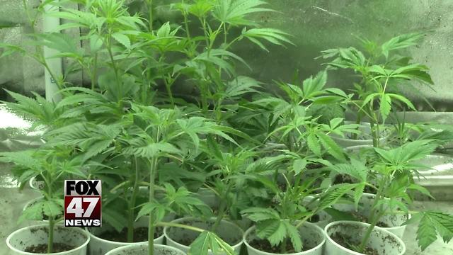 Medical marijuana ordinance public hearing to be held in Lansing tonight