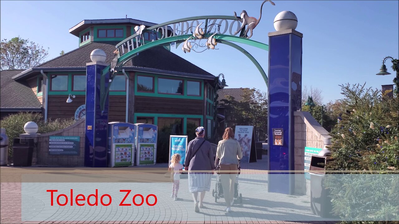 A Day at the Toledo Zoo