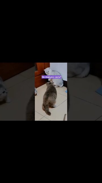 não se mete com meu filho