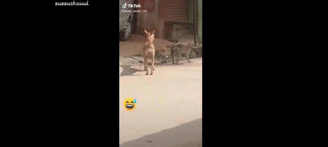 Super Funny Animal video_that_Will_Make_You_Laugh_Out_Loud_|_Keep_Laughing_|_Do_Share_&_Subscribe