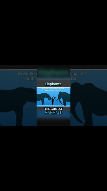 This is Why Evolution is Scientifically Impossible!