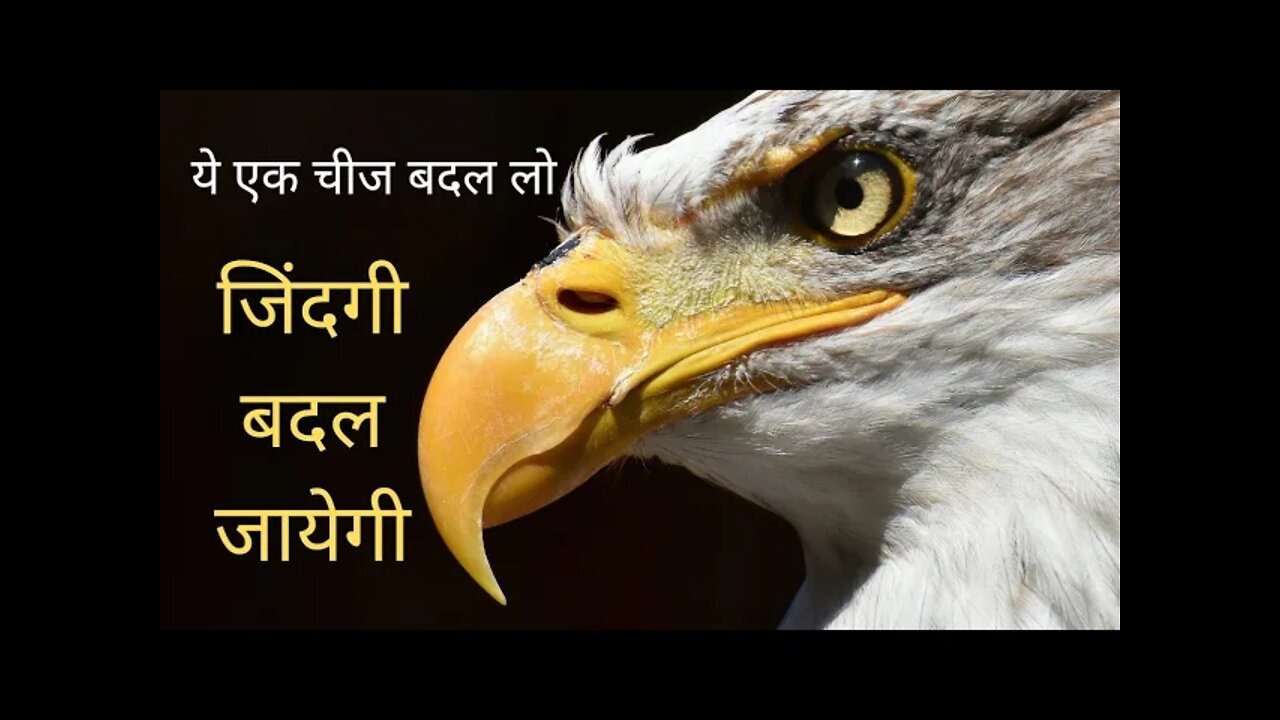 इस एक चीज को बदल लिया तो किस्मत बदल जायेगी #infacto_motivation