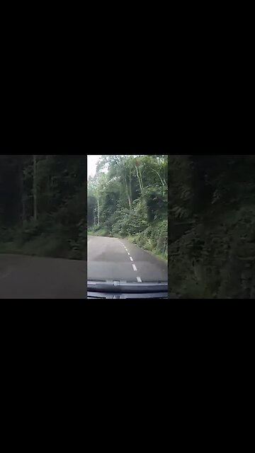 Too Curvy To Handle 😂