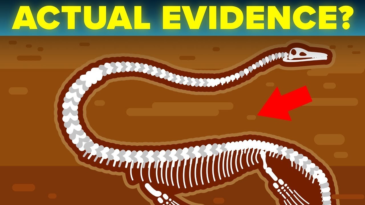 Scientists Find Best Evidence That The Loch Ness Monster Actually Exists