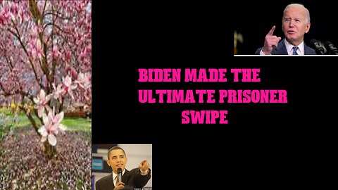 PWL: PWL- Biden historic Prisoner Swap| Kamala loses Black support| Trump rallies gather all people