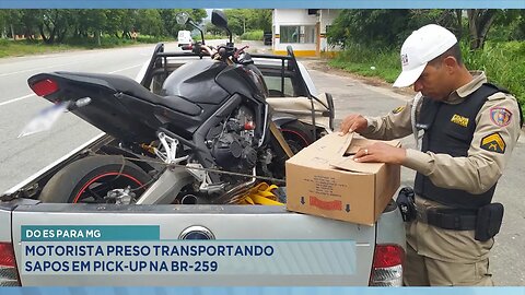 Do ES para MG: Motorista Preso Transportando Sapos em Pick-up na BR-259.