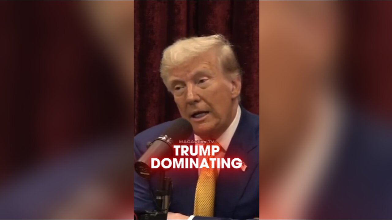 Joe Rogan: Google CEO Told Trump He is Taking Over