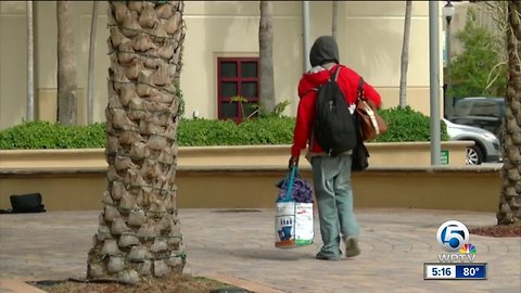 Homeless Coalition of Palm Beach County working to remedy homeless problem