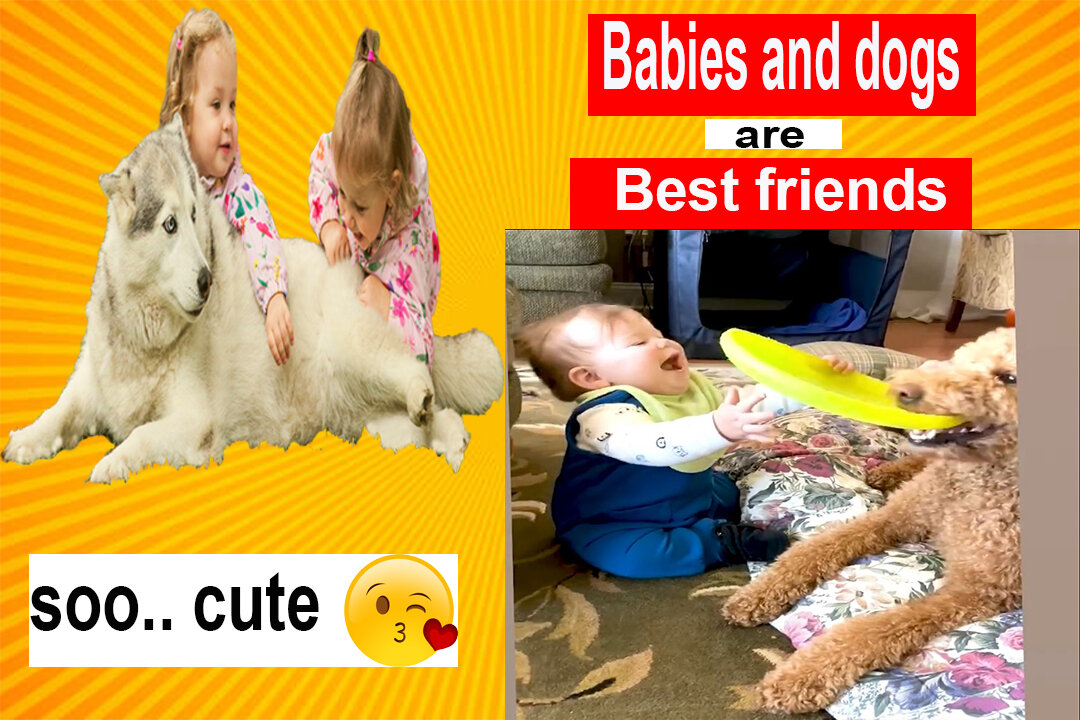 Cute baby and puppy Playing Together