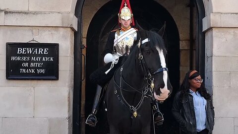 Yes the Horse moves #horseguardsparade