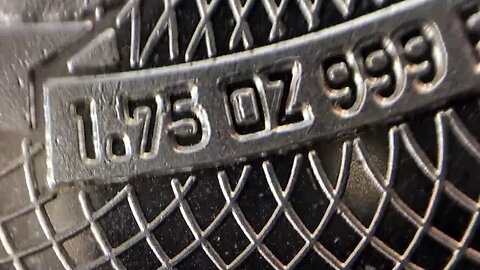 THICK Silver Furtitude Round Up Close & Personal 4K