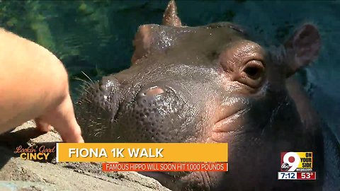 Lookin' Good, Cincy: 1K walk for Fiona
