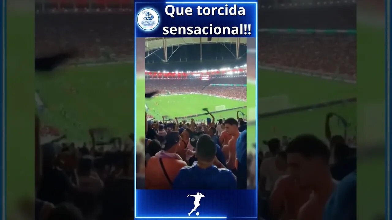 Essa torcida é simplesmente fantástica!🦊💙🤍 #cruzeiro #futebol #maiordeminas #bhfy #mg #bh