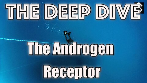 Deep Dive: The Androgen Receptor