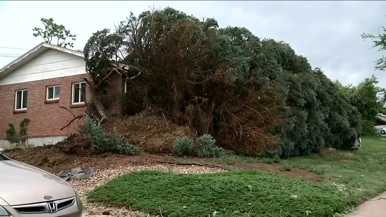 Biden approves major disaster declaration for Colorado following June storms