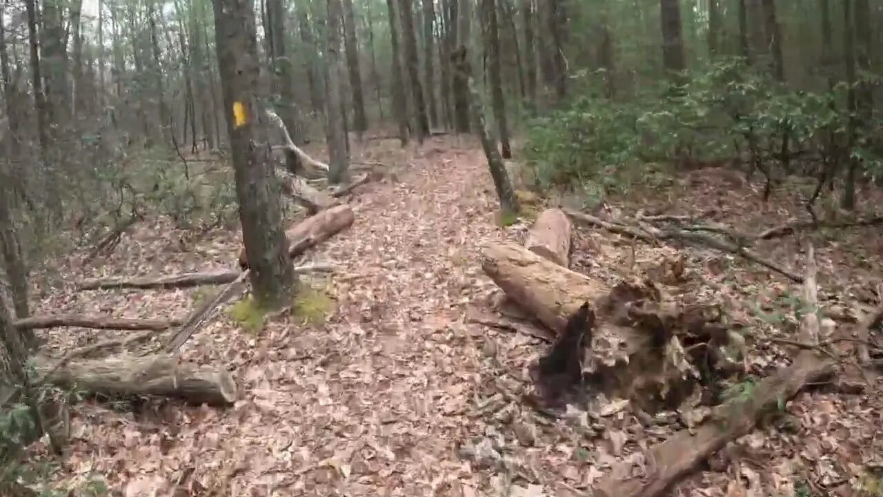 hyner video 6