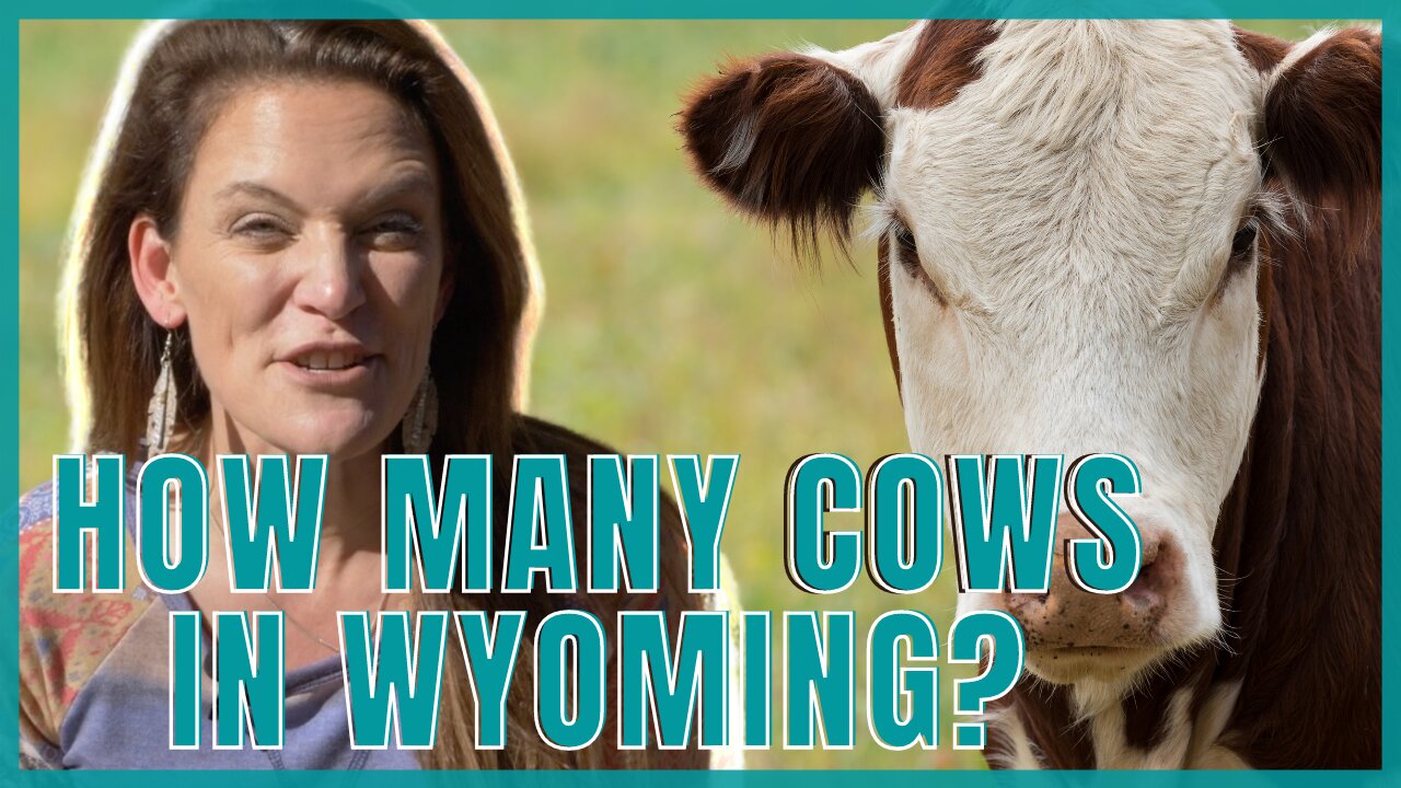 What is Casper Wyoming known for?