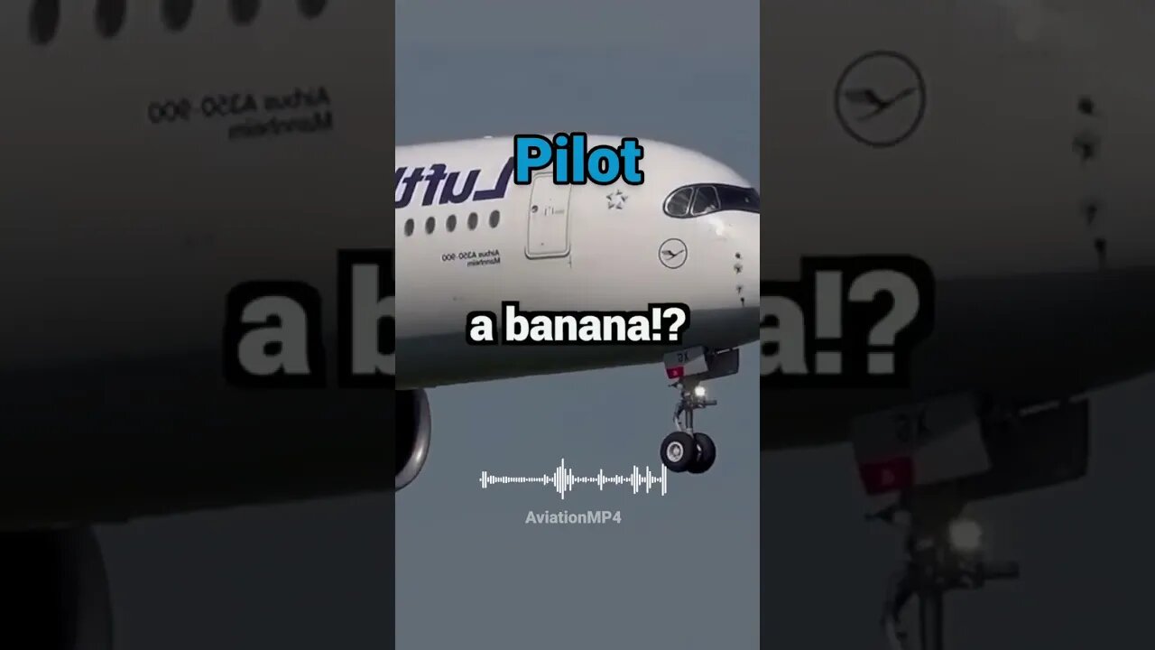 Tower Calls Pilot a Banana 🍌