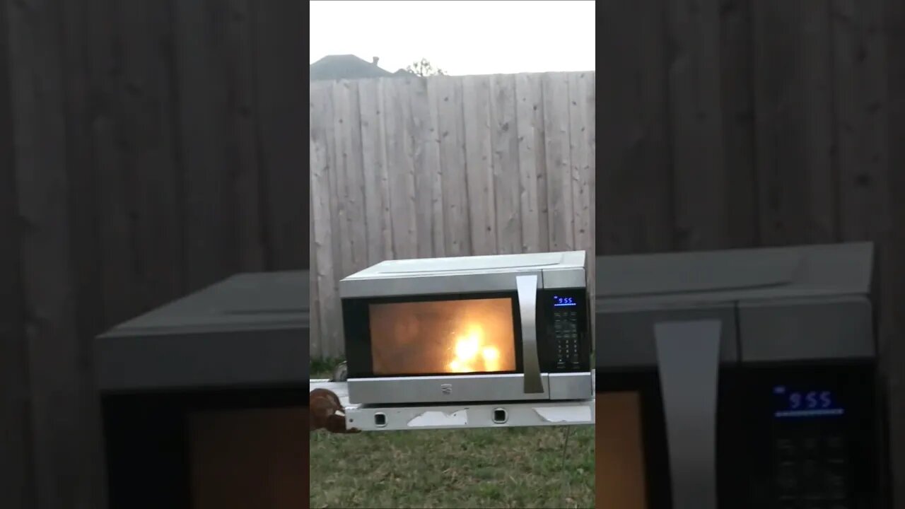 Do not do this We did what Mr Beast couldn't! exploding microwave