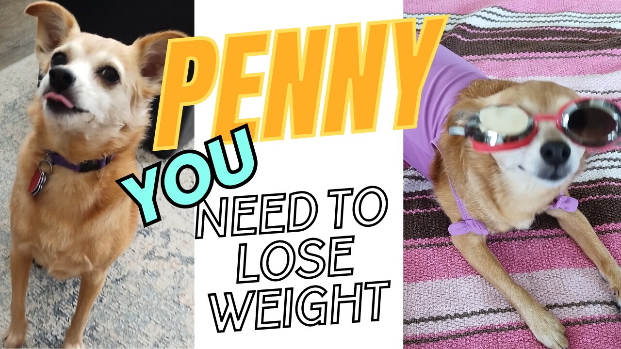 Penny's HILARIOUS Exercise Journey