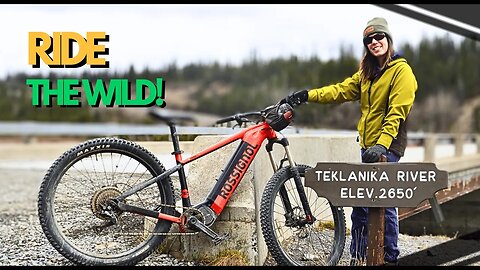 Backcountry Bike Touring Denali National Park: Epic Views & Wildlife