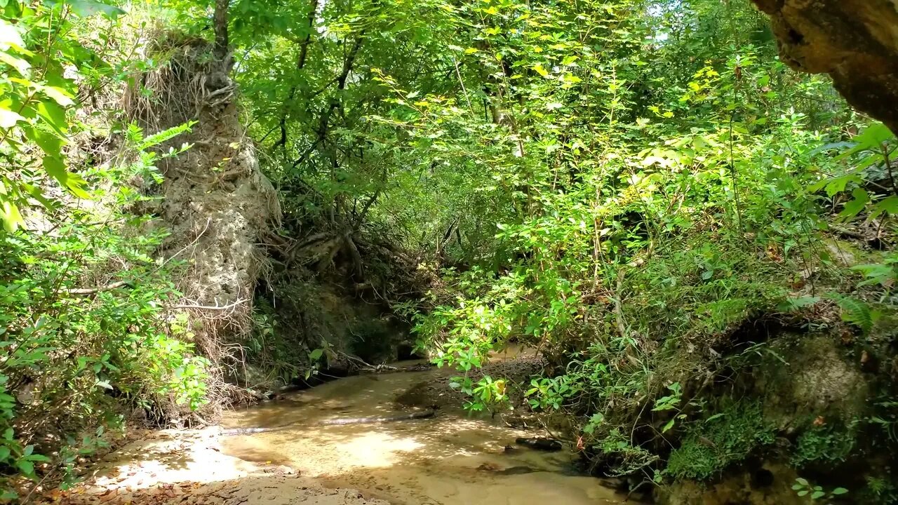 Under the Torreya State Park Stone Bridge facing North