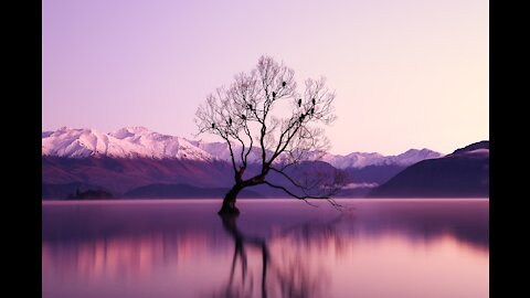 30 minutes Meditation Music for Body, Mind and Soul / Music for Positive Energy.