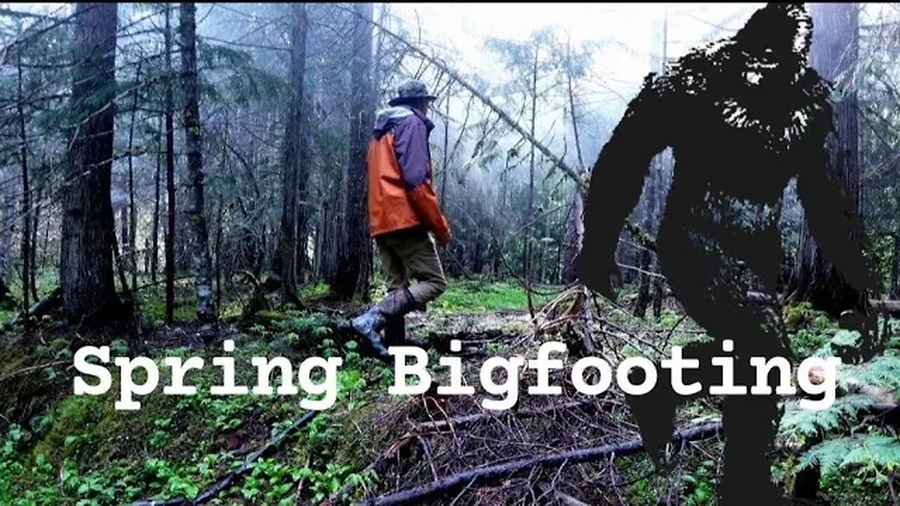 Bigfoot In The Spring