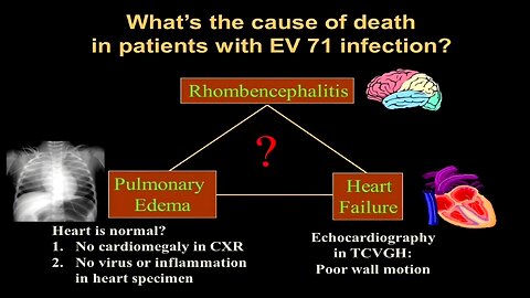 Lessons Learnt: 20th Anniversary of Enterovirus A71 Epidemic of 1998 in Taiwan (Videos 12, 13 & 14) (Sound A.I. Remastered)