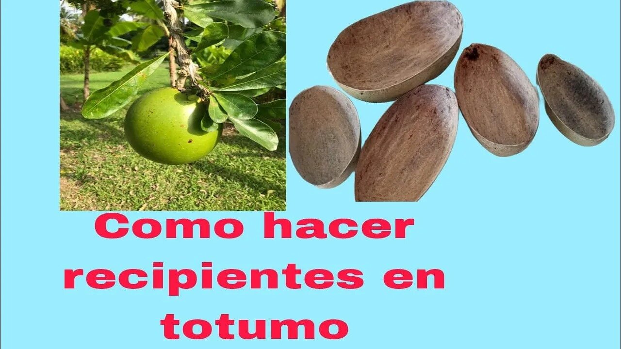 CUCHARA DE TOTUMO_JICARO_TAPARO