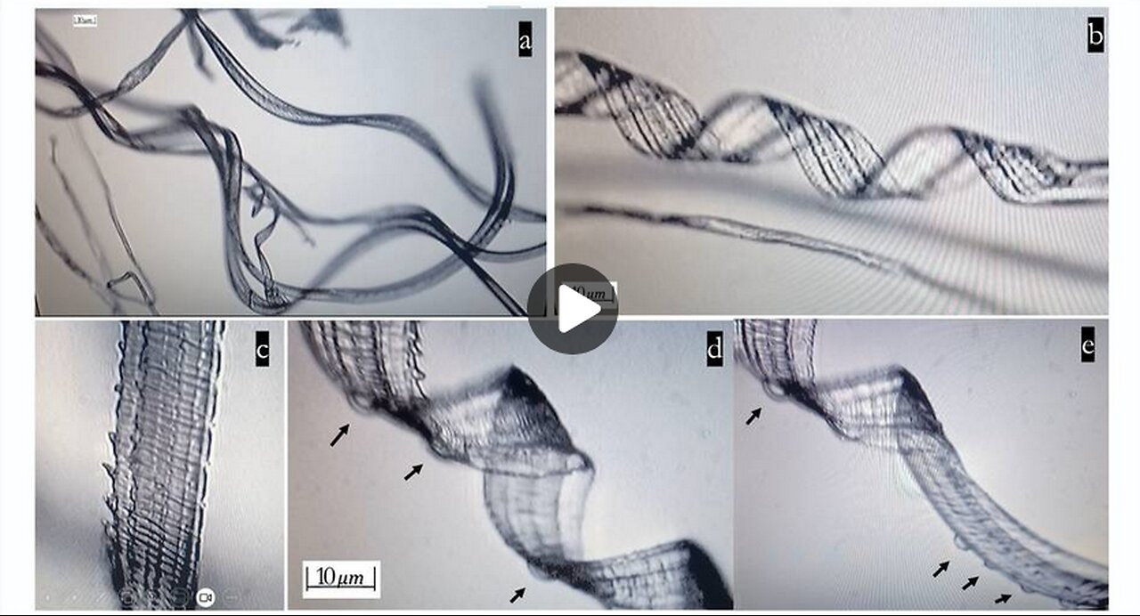 Self-Assembly Nanobots in the COVID-19 Injectables