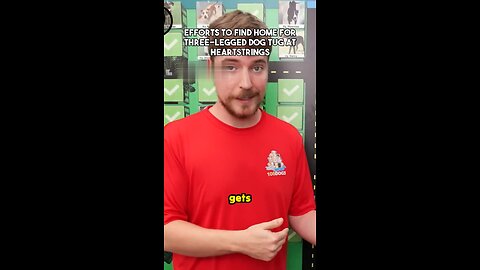 Final part of 10,000 $ giveaway