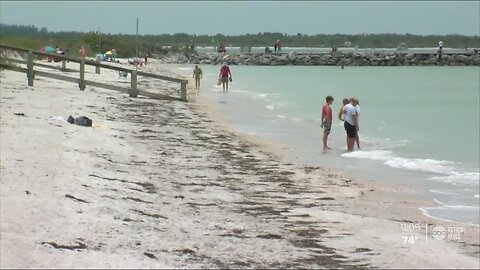 Deputies: FEMA to pay OT to patrol Pinellas Co. beaches